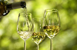 Beber um copo de vinho leve pode reduzir risco de cancro